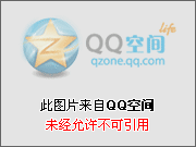 可爱的猫咪和狗狗[图]