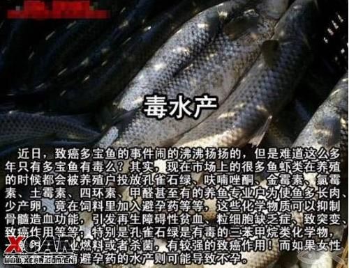 毒肉松.毒烧烤.毒薯条.毒水产.毒酸菜.毒桶装水.毒香肠...（食品安全）