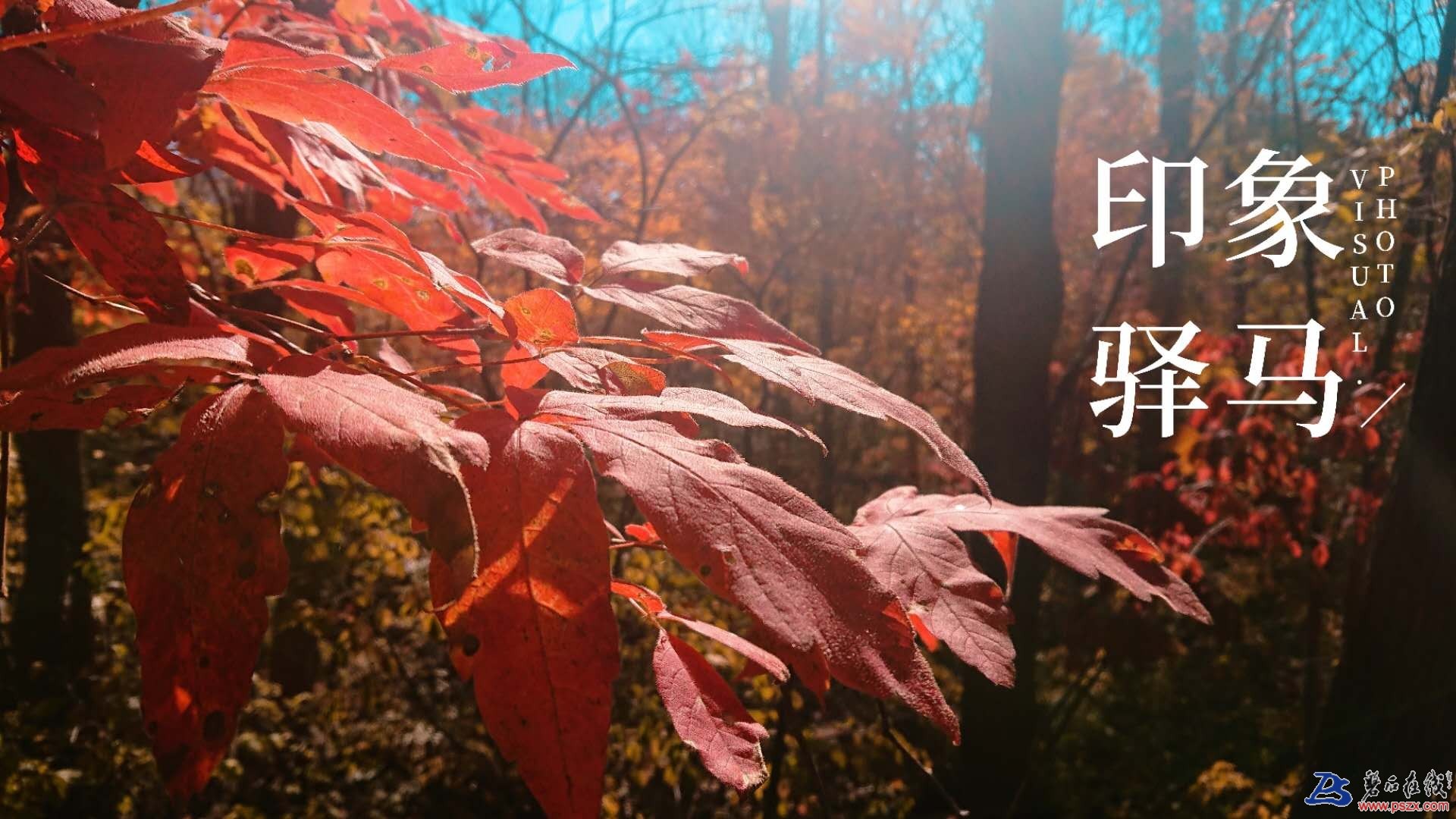 wechat_upload15385491835bb465bf54b11