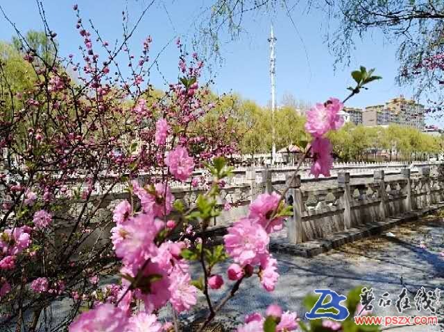wechat_upload15739616425dd0bfab0023d