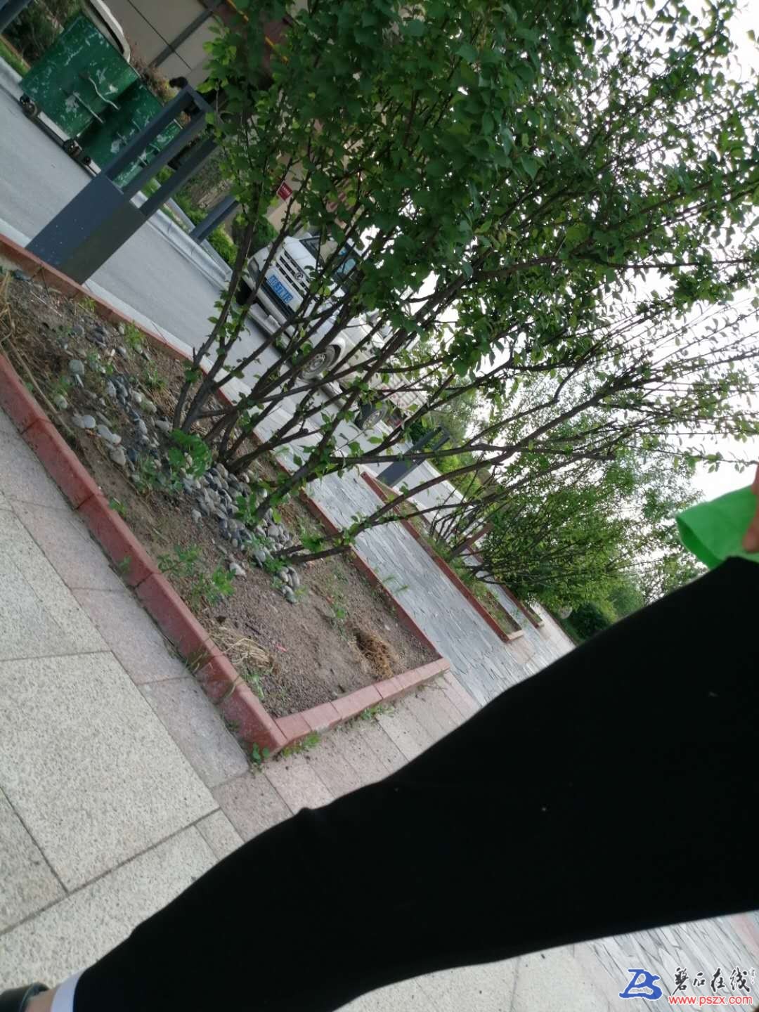 wechat_upload15932574215ef72dcd19af3