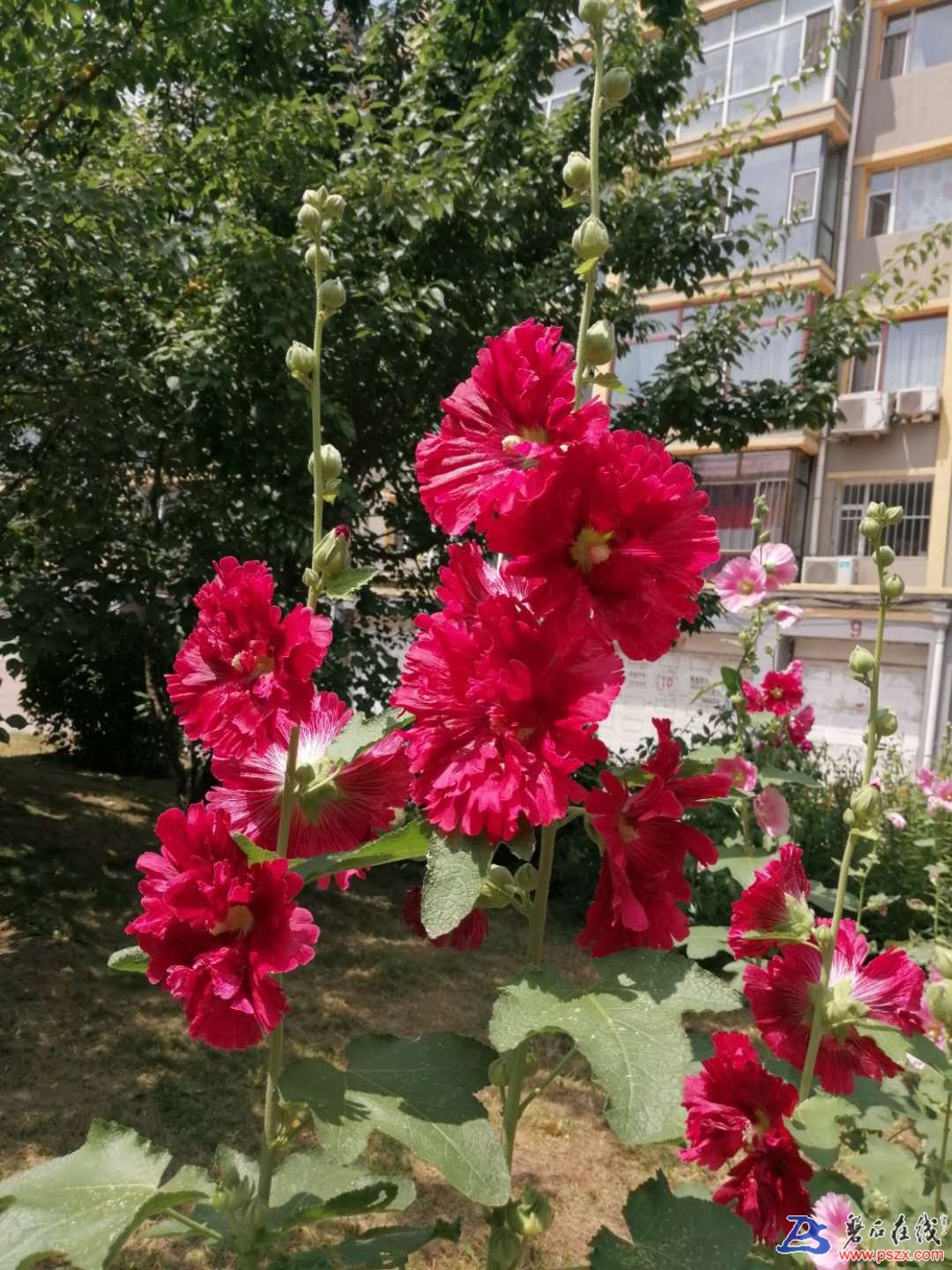 wechat_upload15950563915f12a107cb930