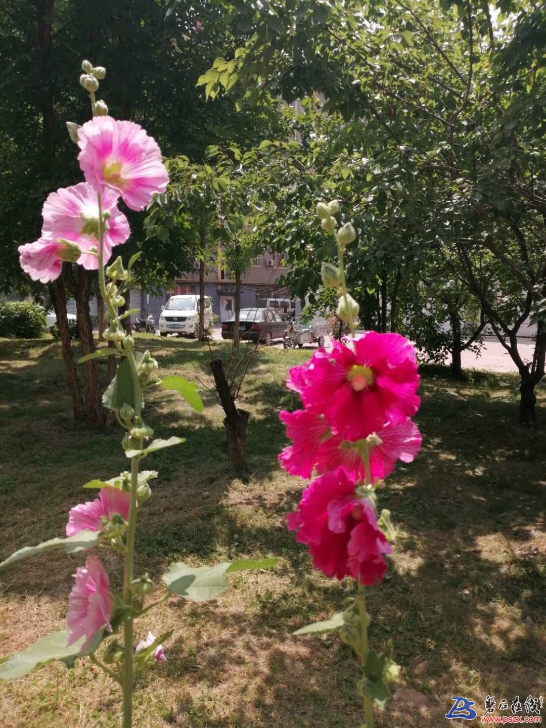 wechat_upload15950564165f12a120bcfb1