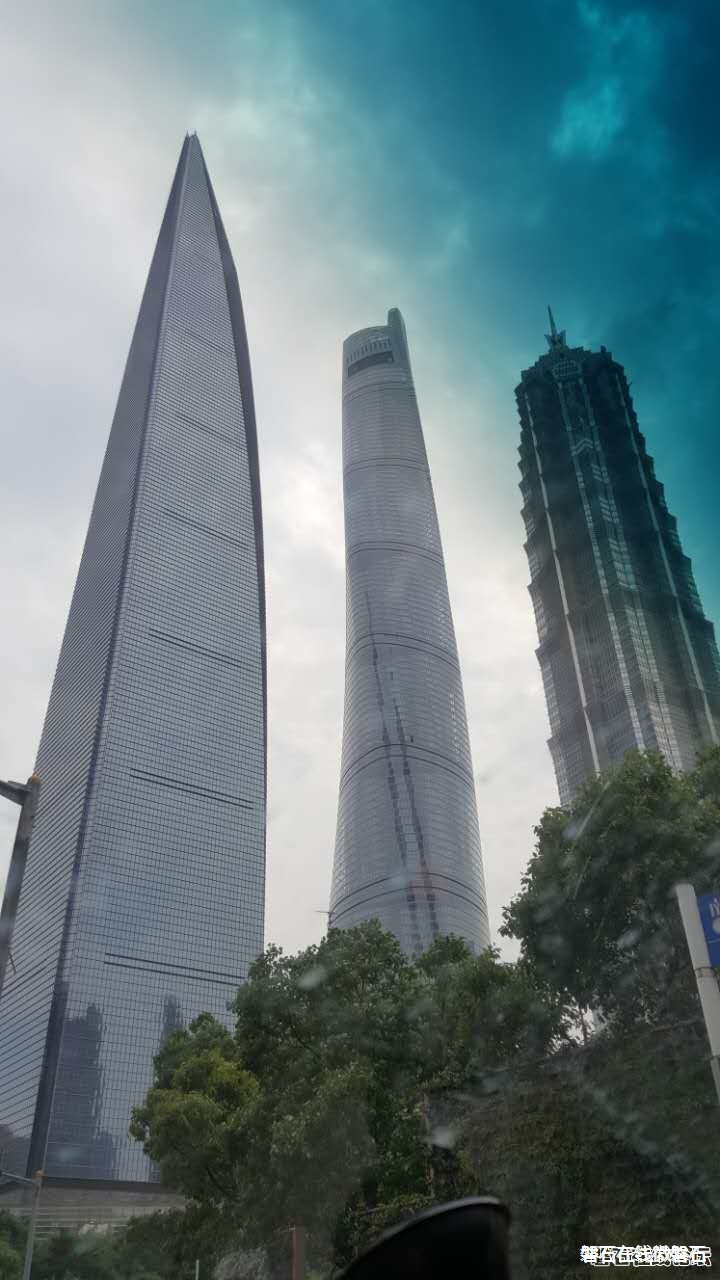 磐石人在上海