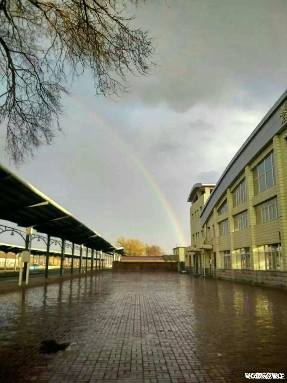 磐石惊现雨后彩虹！