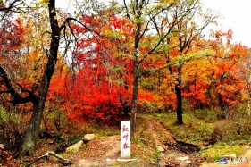 红石山美丽的深秋