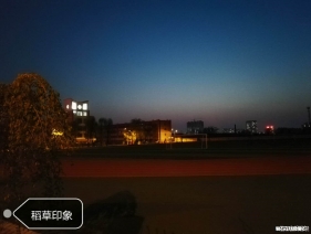 夜太美