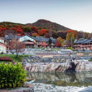 莲花山森林公园3A级景区