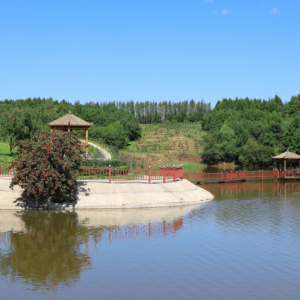 盛禾家庭农场